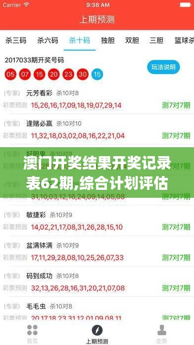 澳门开奖结果开奖记录表62期,综合计划评估_YAV15.867安全版
