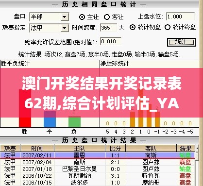 澳门开奖结果开奖记录表62期,综合计划评估_YAV15.867安全版