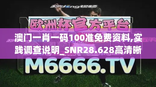 澳门一肖一码100准免费资料,实践调查说明_SNR28.628高清晰度版