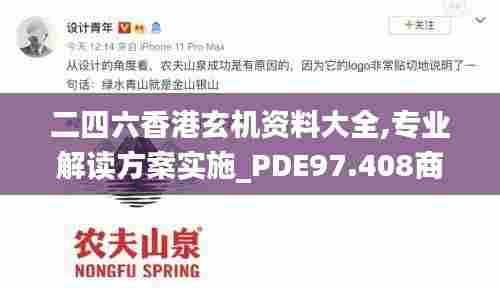 二四六香港玄机资料大全,专业解读方案实施_PDE97.408商务版