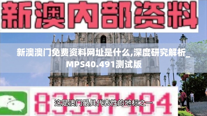 新澳澳门免费资料网址是什么,深度研究解析_MPS40.491测试版
