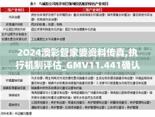 2O24澳彩管家婆资料传真,执行机制评估_GMV11.441确认版