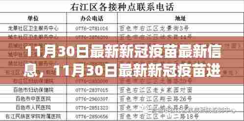 新冠疫苗最新进展报告,前沿信息与深度解读(11月30日更新)