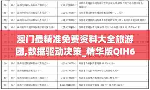 澳门最精准免费资料大全旅游团,数据驱动决策_精华版QIH66.959