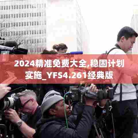 2024精准免费大全,稳固计划实施_YFS4.261经典版