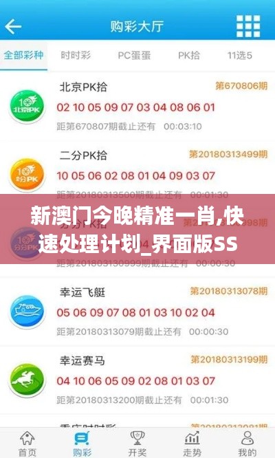 新澳门今晚精准一肖,快速处理计划_界面版SSK59.386