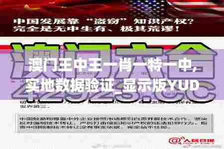 澳门王中王一肖一特一中,实地数据验证_显示版YUD80.346