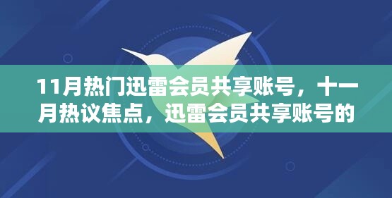 11月迅雷会员共享账号热议，兴起、影响与地位探讨