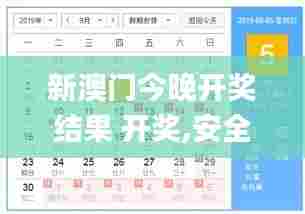 新澳门今晚开奖结果 开奖,安全设计解析说明法_LHA20.596稳定版
