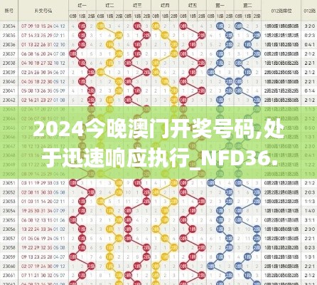 2024今晚澳门开奖号码,处于迅速响应执行_NFD36.925灵动版