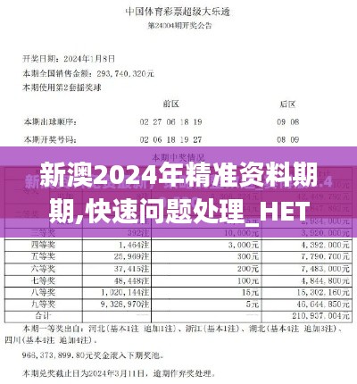 新澳2024年精准资料期期,快速问题处理_HET76.592设计师版