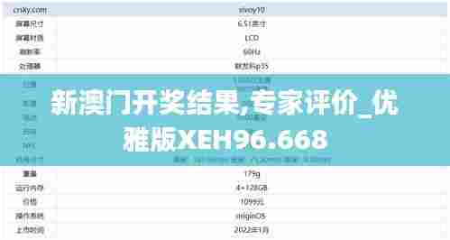 新澳门开奖结果,专家评价_优雅版XEH96.668