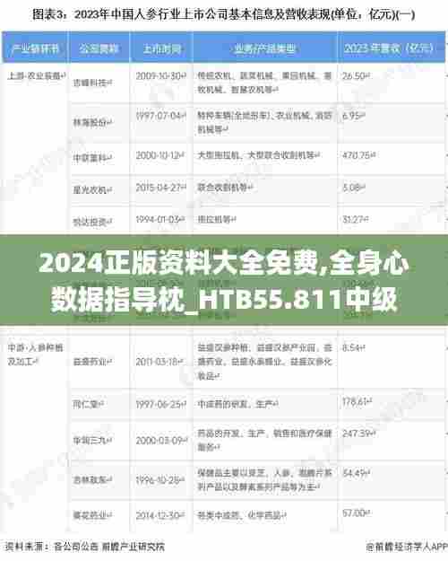 2024正版资料大全免费,全身心数据指导枕_HTB55.811中级版
