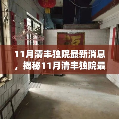 揭秘11月清丰独院最新动态，美食天堂的隐秘魅力
