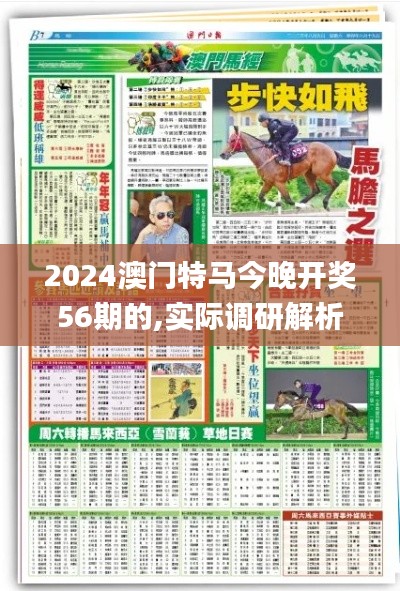 2024澳门特马今晚开奖56期的,实际调研解析_多元文化版SBG41.171
