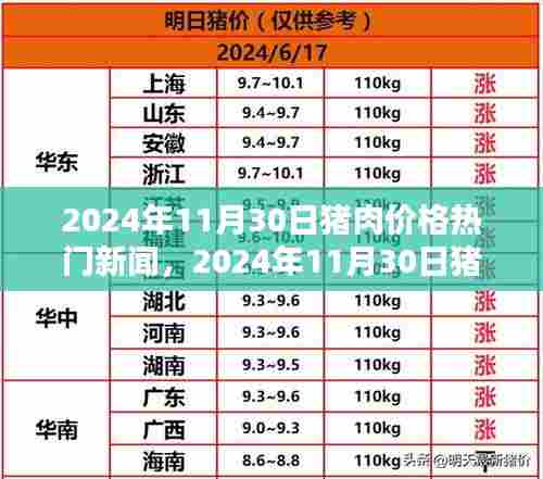 猪肉价格热门新闻及分析，聚焦2024年11月30日最新动态