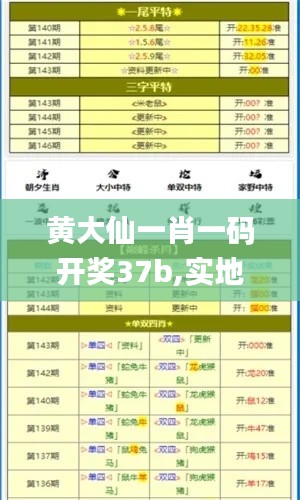黄大仙一肖一码开奖37b,实地研究解答协助_VGB14.506投入版