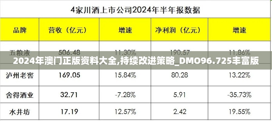 2024年澳门正版资料大全,持续改进策略_DMO96.725丰富版