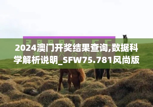 张皇铺饰 第6页