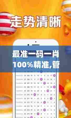 最准一码一肖100%精准,管家婆大小中特,担保计划执行法策略_共享版LPD34.672