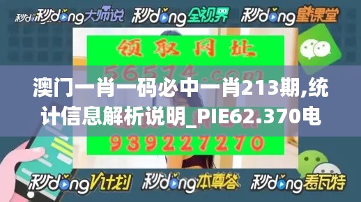 澳门一肖一码必中一肖213期,统计信息解析说明_PIE62.370电影版