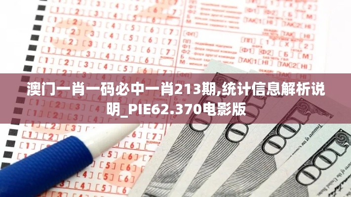 澳门一肖一码必中一肖213期,统计信息解析说明_PIE62.370电影版