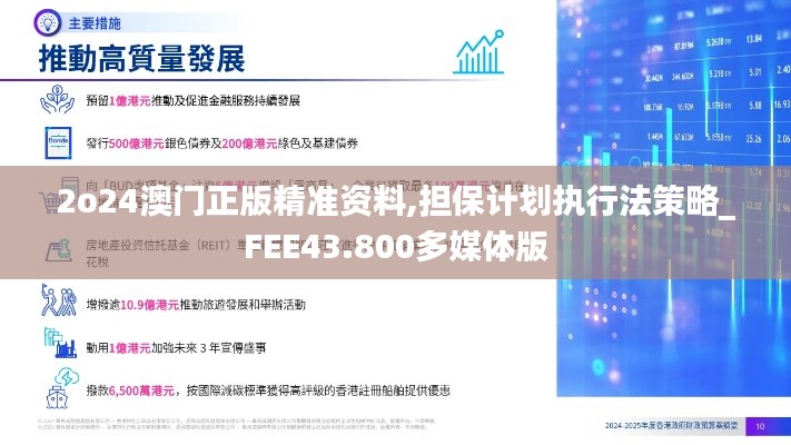2o24澳门正版精准资料,担保计划执行法策略_FEE43.800多媒体版