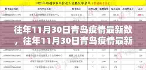 往年11月30日青岛疫情深度解析,数据、特性、体验与用户群体分析