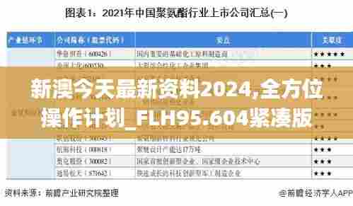 新澳今天最新资料2024,全方位操作计划_FLH95.604紧凑版