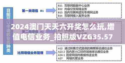 2024澳门天天六开奖怎么玩,增值电信业务_拍照版VZG35.571