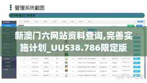 新澳门六网站资料查询,完善实施计划_UUS38.786限定版