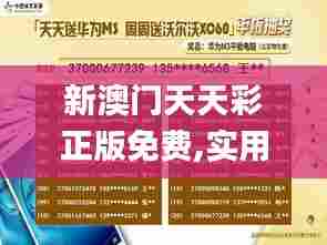 新澳门天天彩正版免费,实用性解读策略_方案版OQH76.739