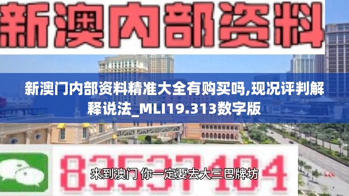 新澳门内部资料精准大全有购买吗,现况评判解释说法_MLI19.313数字版