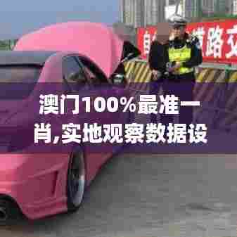 澳门100%最准一肖,实地观察数据设计_智慧版KGK72.293