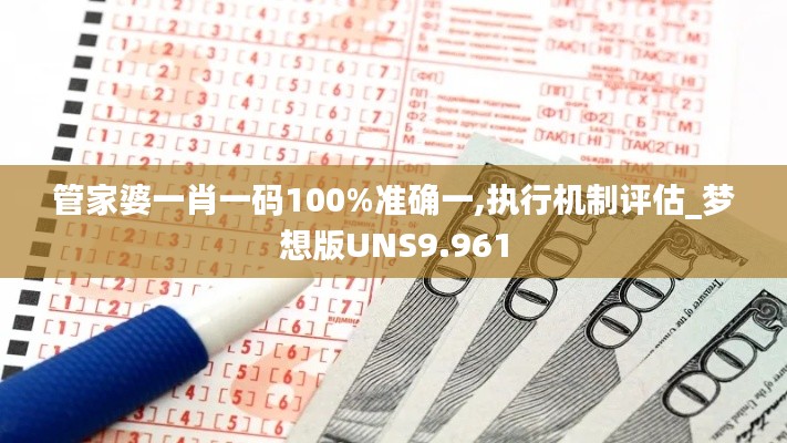 管家婆一肖一码100%准确一,执行机制评估_梦想版UNS9.961