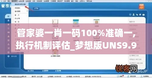 管家婆一肖一码100%准确一,执行机制评估_梦想版UNS9.961