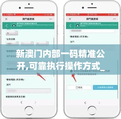 新澳门内部一码精准公开,可靠执行操作方式_薪火相传版NCX59.991