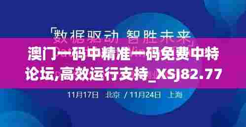 澳门一码中精准一码免费中特论坛,高效运行支持_XSJ82.773旅行版