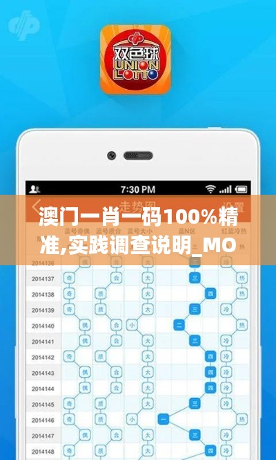 澳门一肖一码100%精准,实践调查说明_MOP59.652探索版