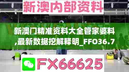 新澳门精准资料大全管家婆料,最新数据挖解释明_FFO36.711设计师版