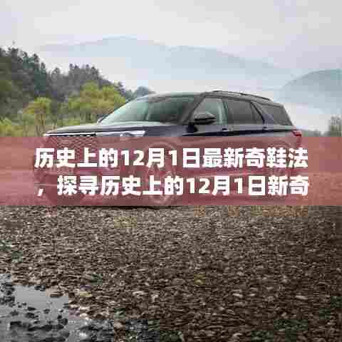 历史上的12月1日新奇鞋法深度探讨，时尚与革新的交汇点