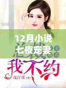 『科技之宠,七夜宠妻的高科技体验之旅』