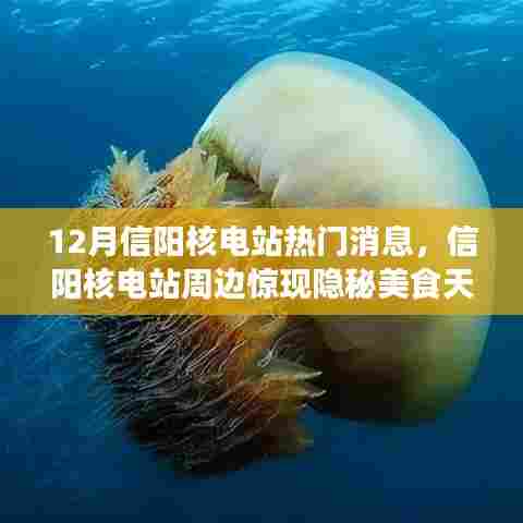 信阳核电站周边美食秘境揭秘，隐秘小巷独特风味探秘，十二月热门消息速递