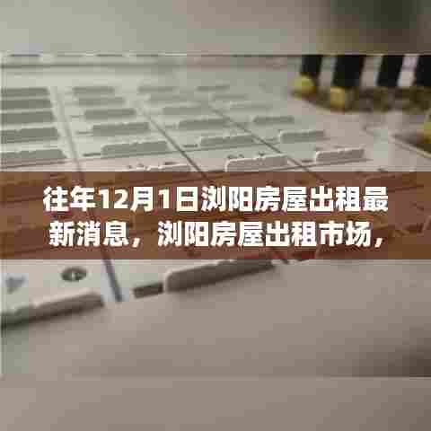 历年12月1日浏阳房屋出租市场消息回顾与最新动态