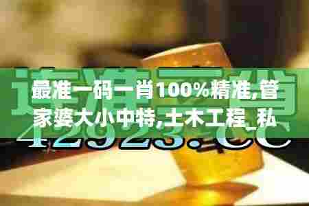 最准一码一肖100%精准,管家婆大小中特,土木工程_私人版KQY85.177