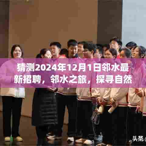 邻水最新招聘预告，探寻自然美景，寻找内心宁静与和谐之旅（邻水之旅）