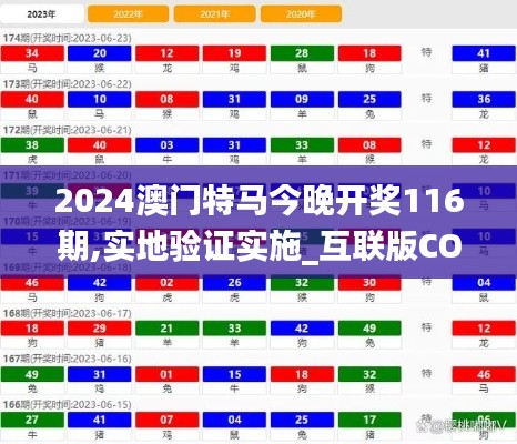 2024澳门特马今晚开奖116期,实地验证实施_互联版COQ48.223