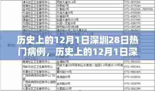深圳疫情深度解析,热门病例追踪指南与历史上的疫情回顾(12月1日篇)