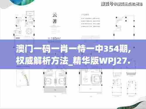 澳门一码一肖一恃一中354期,权威解析方法_精华版WPJ27.846