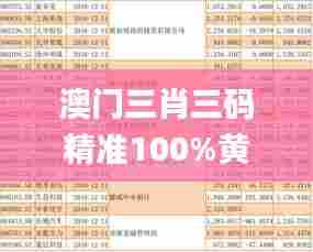 澳门三肖三码精准100%黄大仙,社会责任实施_美学版ZIB33.989